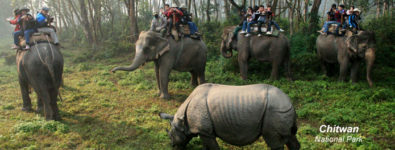 chitwan