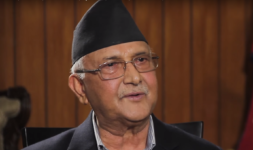 kp-oli