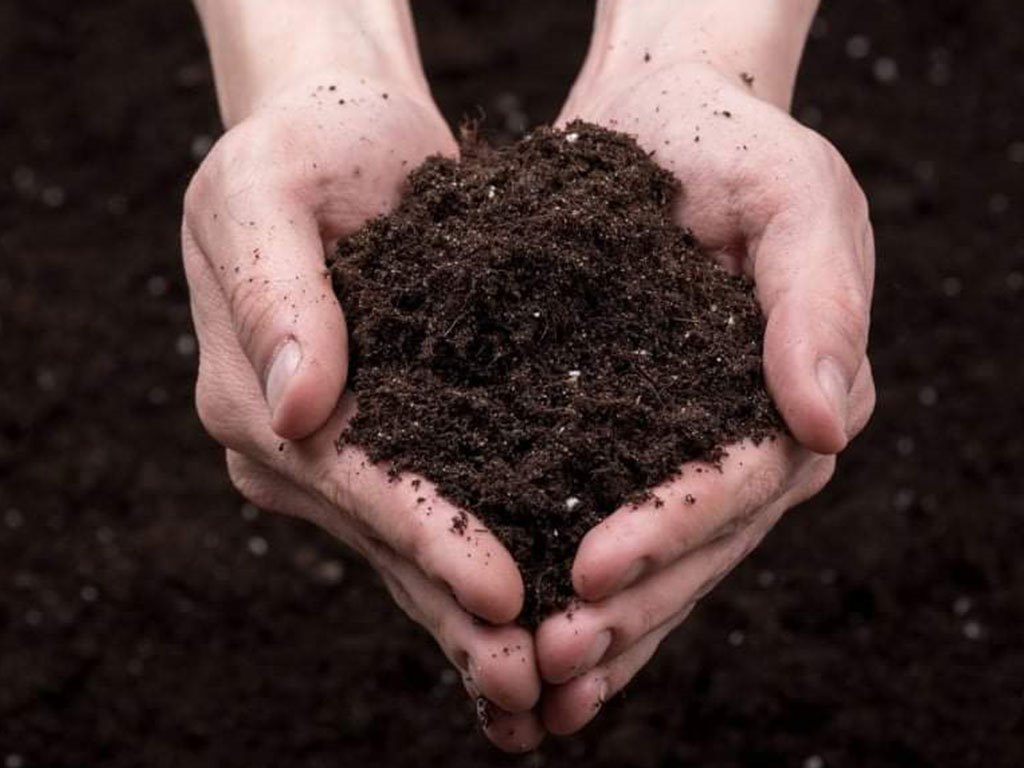 आज १२औँ विश्व माटो दिवस मनाइँदै